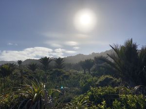 Punakaiki