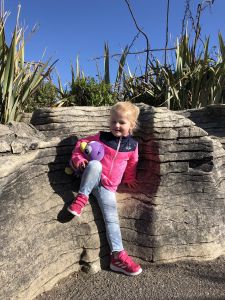 Punakaiki pancake rocks