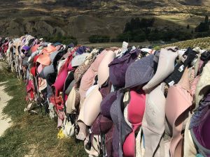 Bra fence in Cardrona