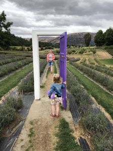 Deur in het veld - Lavendel Farm Wanaka