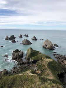 Nuggets van Nugget Point