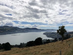 Uitzicht over zeearm naar Dunedin