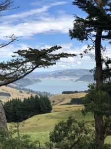 Dunedin vanaf Larnach Castle