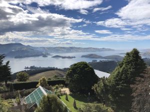 Dak Larnach Castle