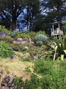 Tuin Larnach Castle