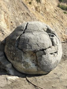 Moeraki Boulders