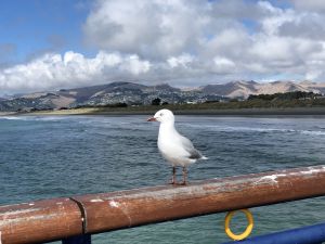 Christchurch vanaf Brighton Pier