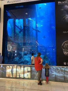 Dubai Mall Aquarium