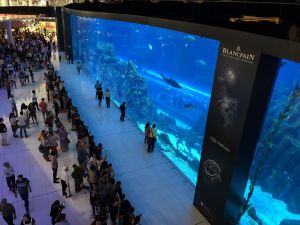 Dubai Mall Aquarium